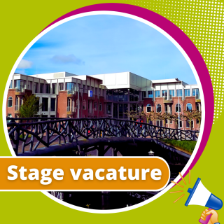 1746698656_stage-vacature-leidenglobal